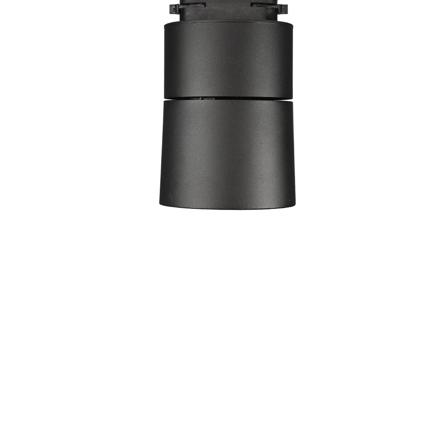 자이 리딩 스포트