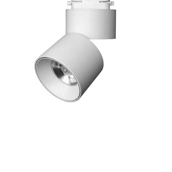 자이 리딩 스포트