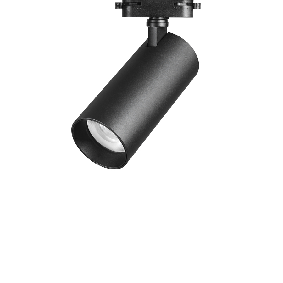 70파이 테리 스포트