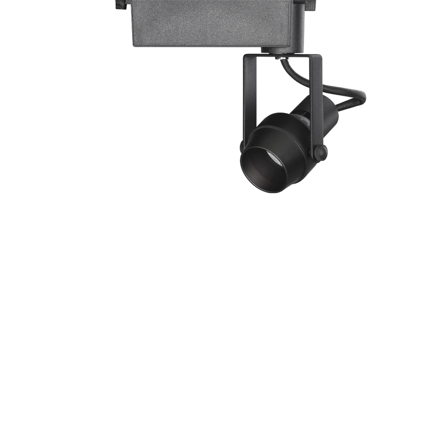 올리브 MR 스포트