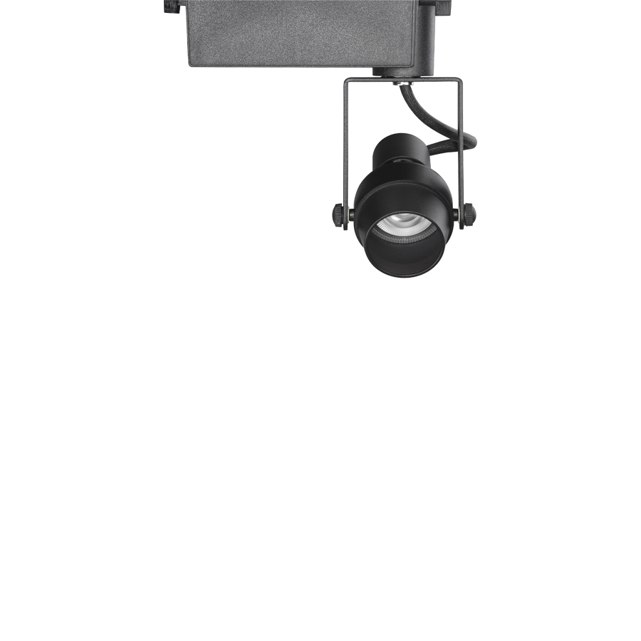 올리브 MR 스포트