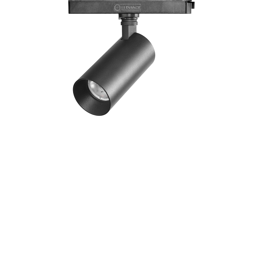 바인드 인트랙 스포트